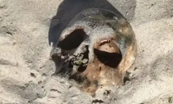 Imagem de Mistério na praia: crânio aparece em praia de Salvador